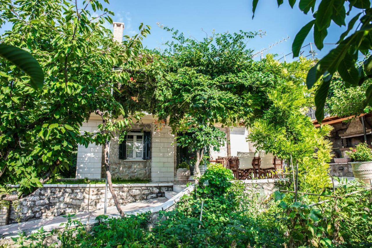 Villa Ilias Pinakokhorion Extérieur photo