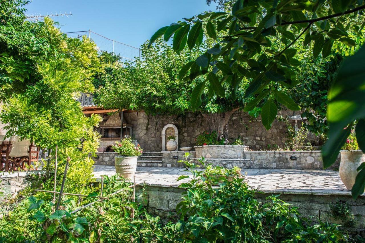 Villa Ilias Pinakokhorion Extérieur photo