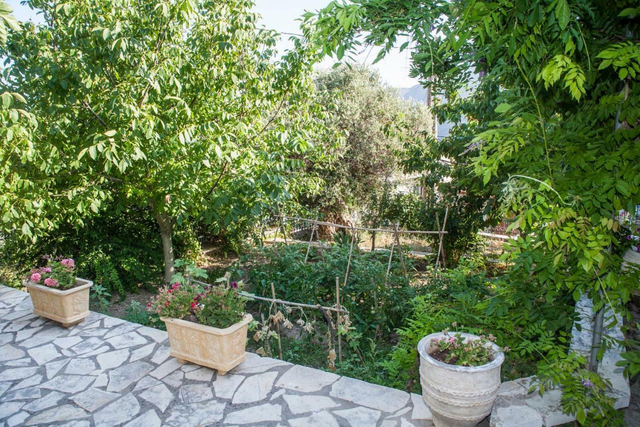 Villa Ilias Pinakokhorion Extérieur photo