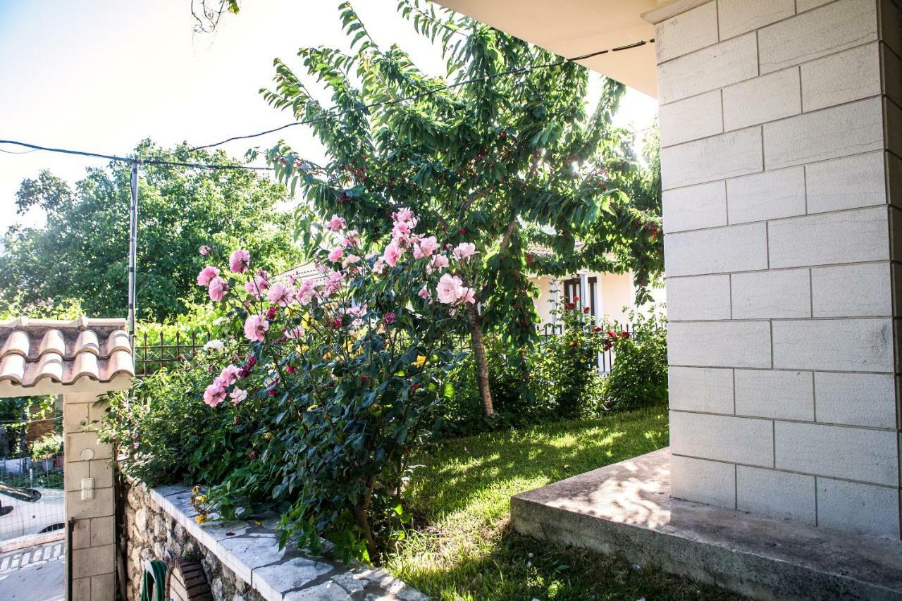 Villa Ilias Pinakokhorion Extérieur photo
